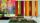 Foto notizia